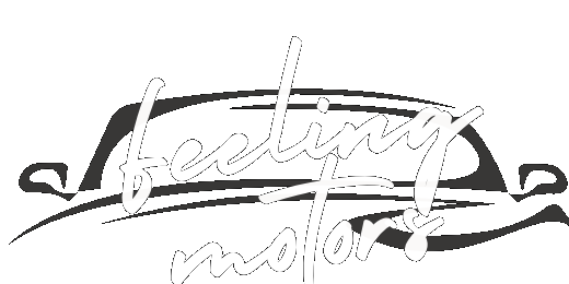 Feeling Motors